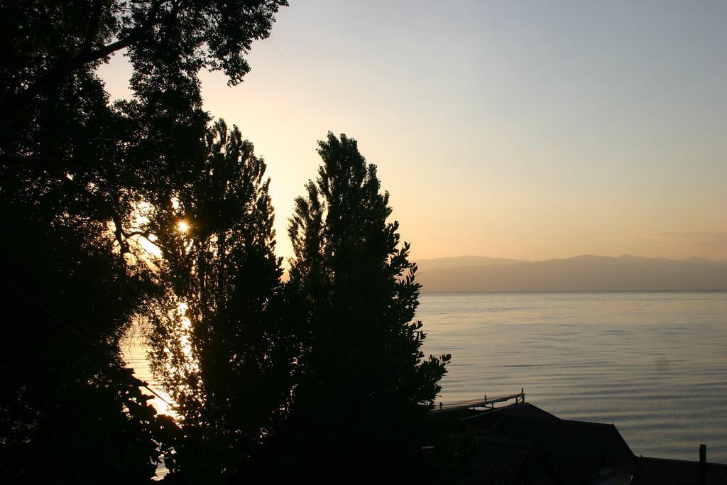 Filip 2* Trpejca